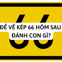 Đề về 66 mai đánh lô gì?